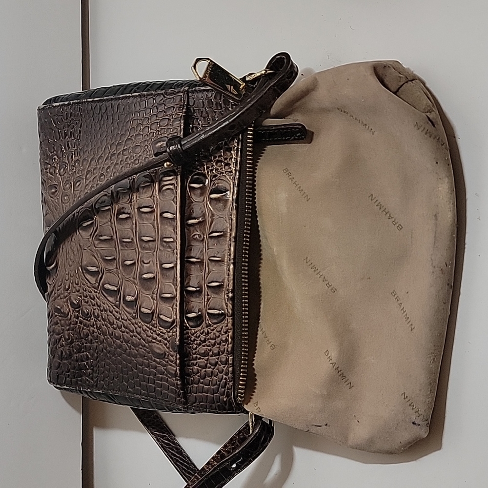 BRAHMIN - Picture 15 of 16